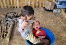 Mothe’r Harvest Green Cabbage Sell and Grill Meat for Child to Eat on Cold Rainy Days
