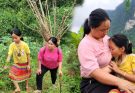 Full video: about the work and life of a single mother raising a child in the countryside./lý sểnh