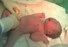 En’en has been born