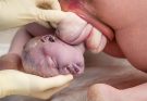 This 2026 natural birth vlog captures the emotional journey of labor and childbirth