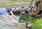 Single mother – director mobilizes human resources, to find single mother swept away by floodwaters