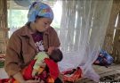 Stranded in the Wild: How a Poor Single Mother Walks Through the Jungle to Build a Life for Her Baby