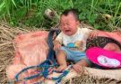Mother and daughter go to work for hire to exchange rice to eat. Part 11